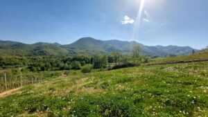 Pogled sa šetnice Pethrasti prema planini Ivančici