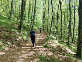 Staza Pethrasti za šetnju šumom 4.3 km - izletište Pethrasti (9)
